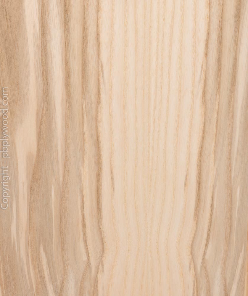 Ash Olive Veneered Hardwood Plywood Peter Benson Plywood Ltd